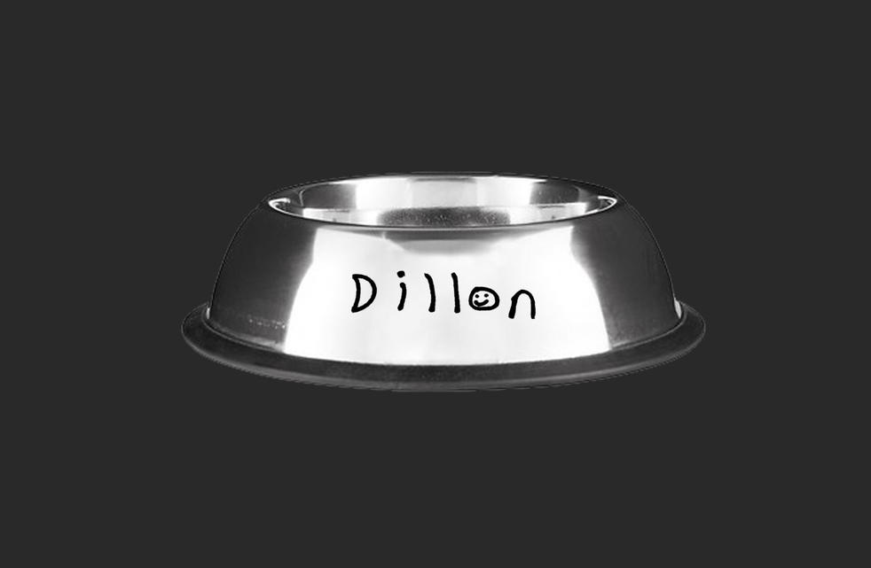 dog bowl